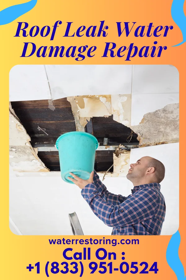 Roof Leak Water Damage Repair in Theba, AZ